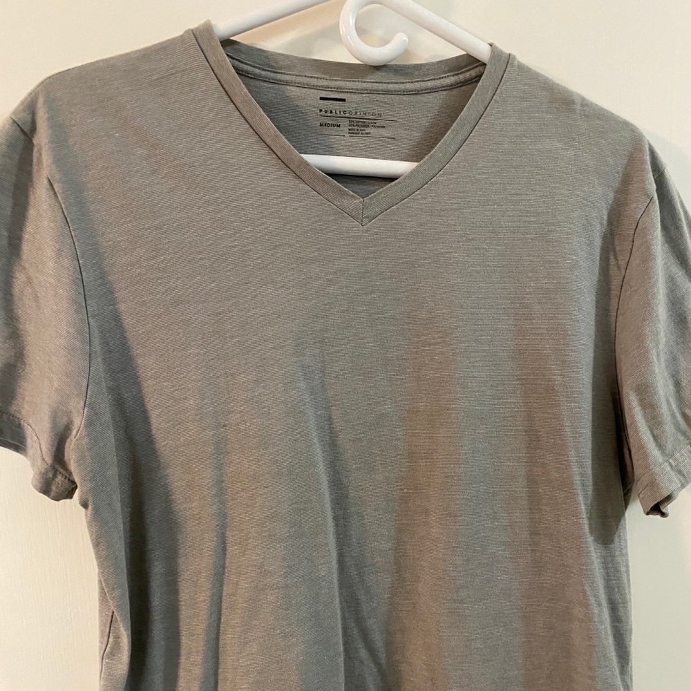 Public Opinion V-neck t-shirt, gray, soft, medium